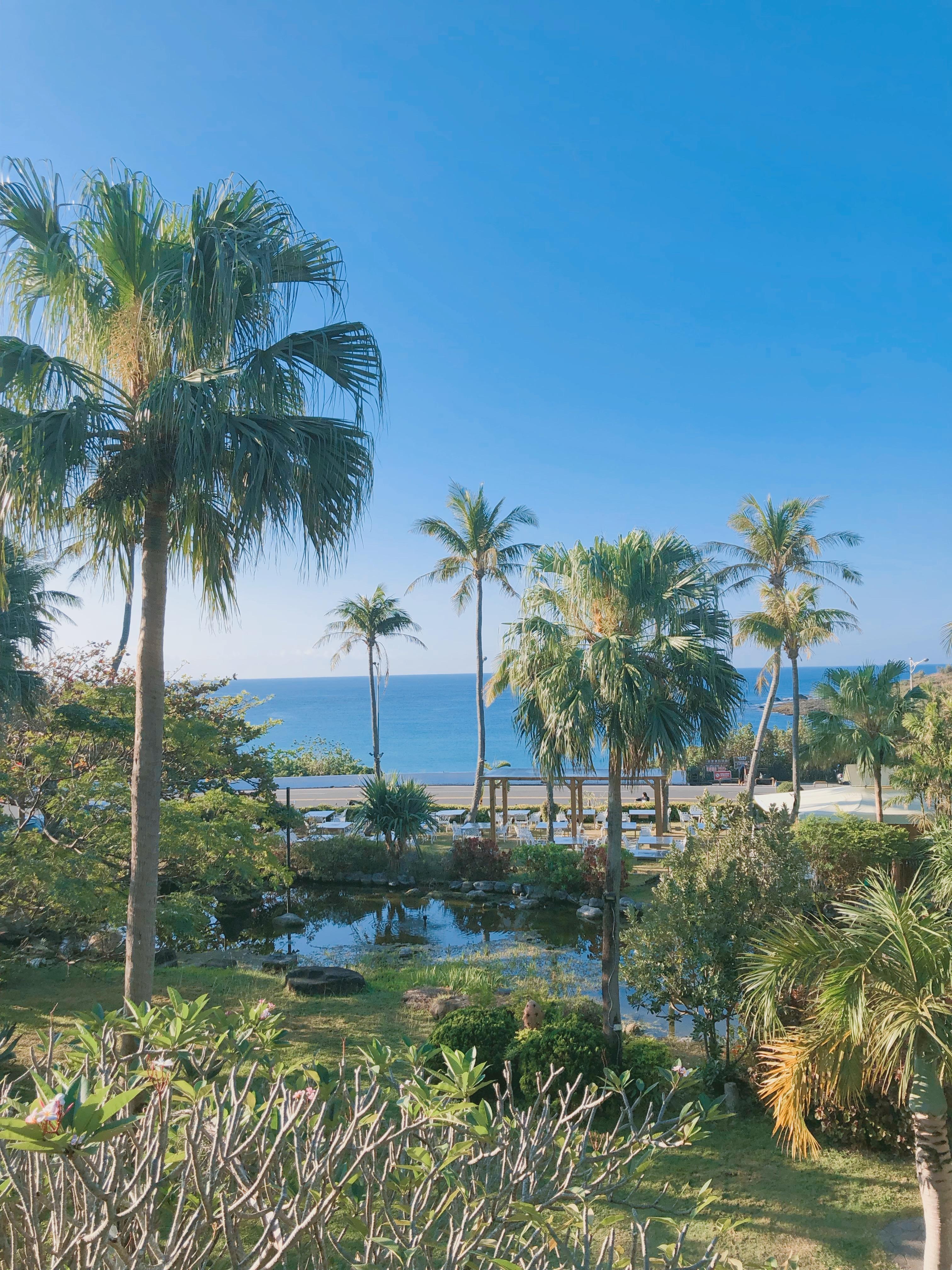 Buffet Restaurant view