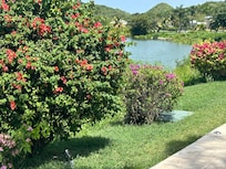 Beautiful property