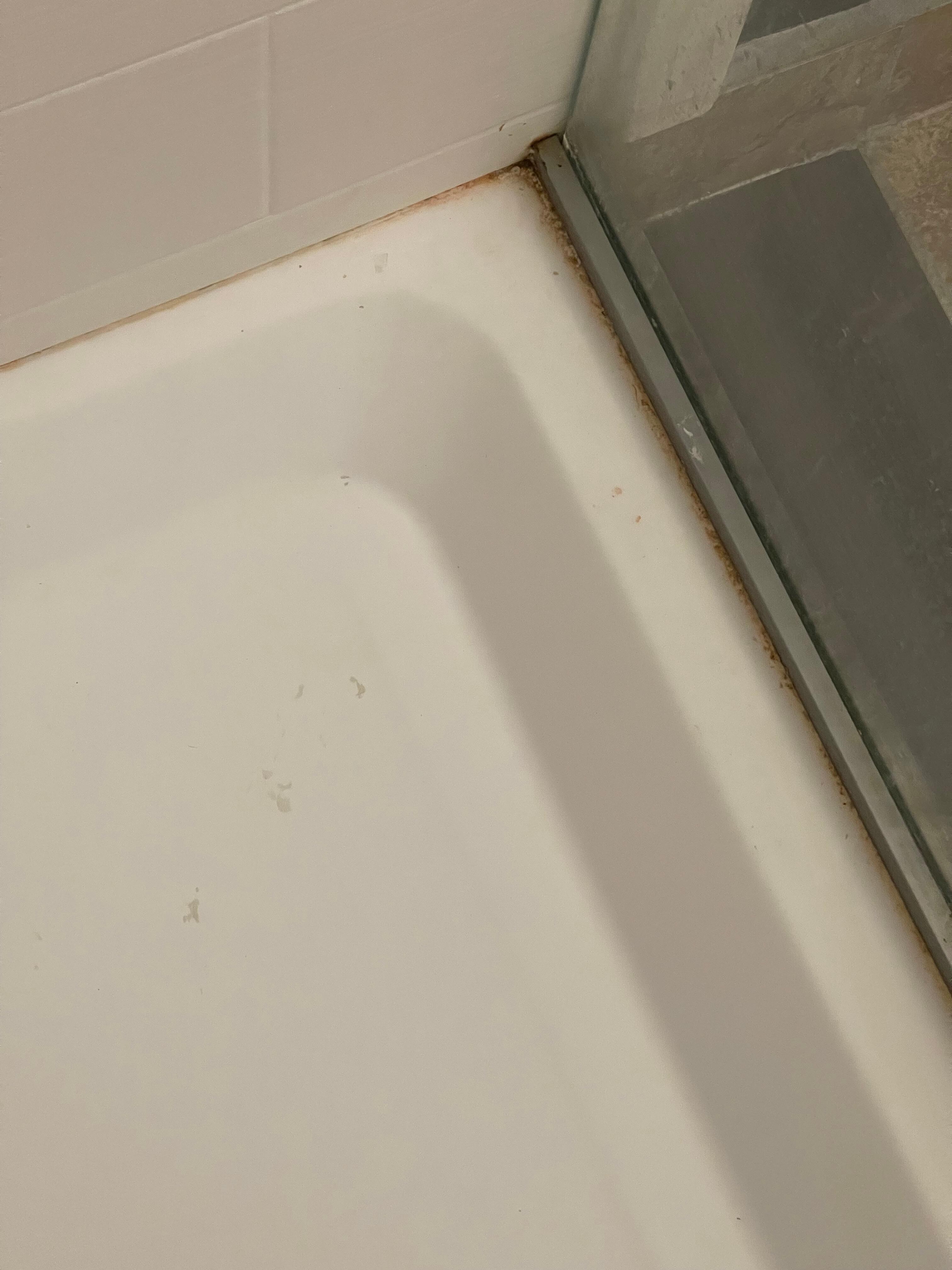 Dirty tub