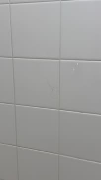 Hair in shower