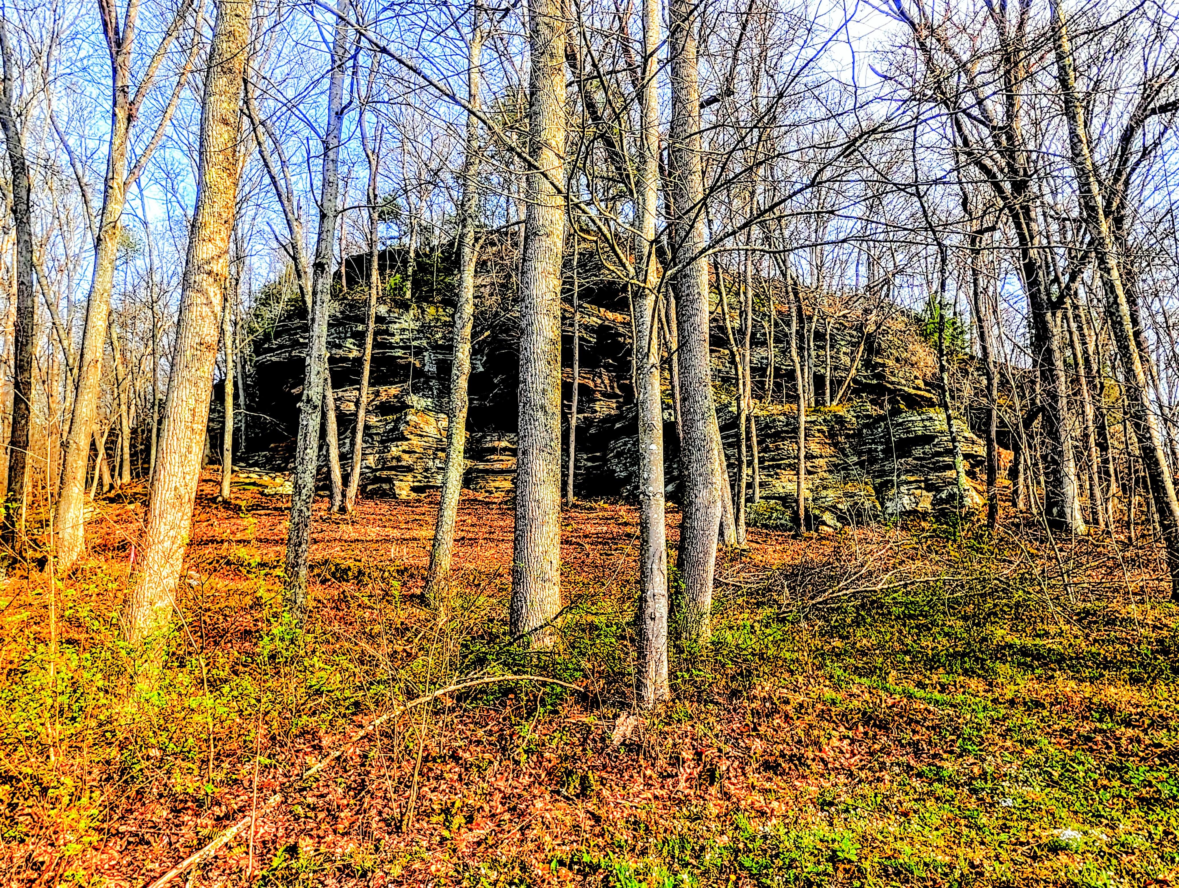 We arrived at dark and woke to this in the back yard. Excellent hiking!