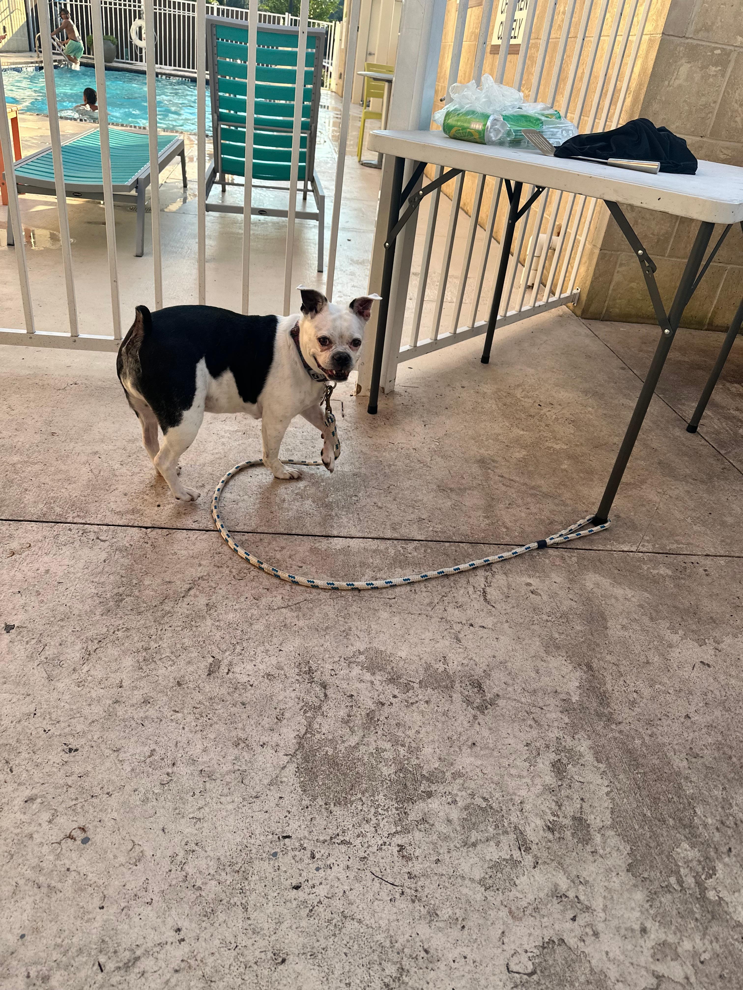 Dottie Mae waiting on the chefs dinner. Poolside tables, grills and fun!