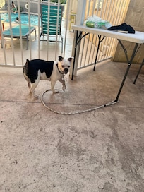 Dottie Mae waiting on the chefs dinner. Poolside tables, grills and fun!