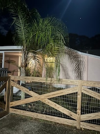 Nice evening reflection of palm tree.