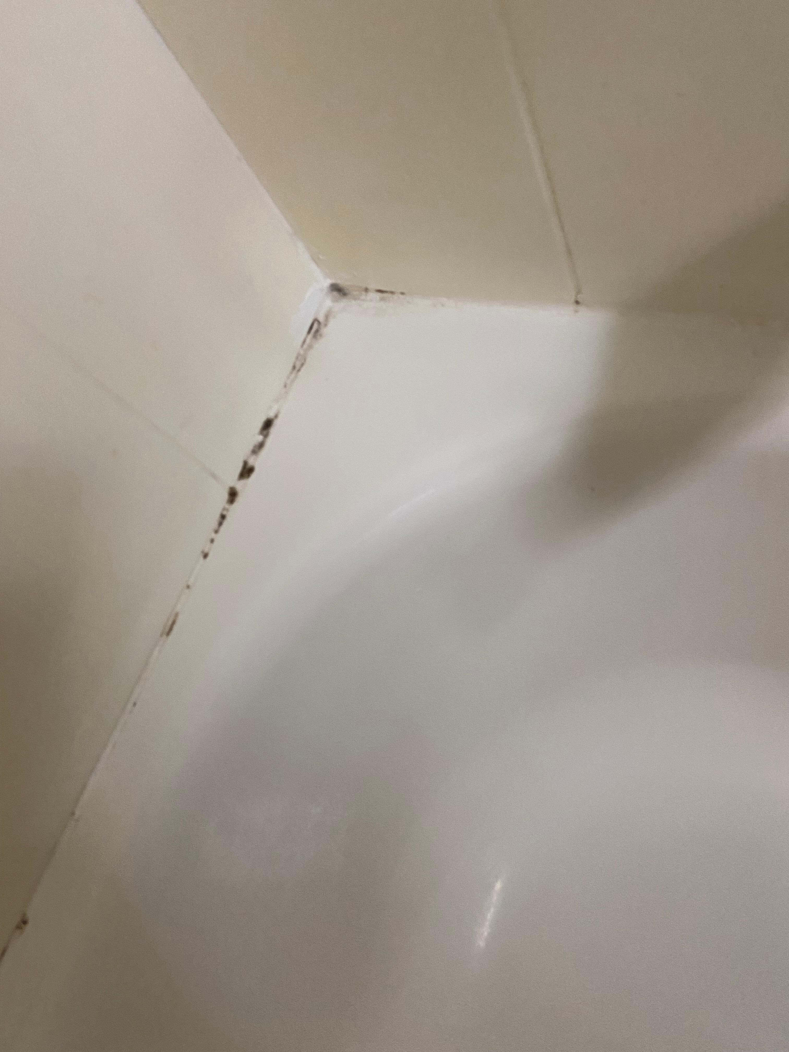 mold