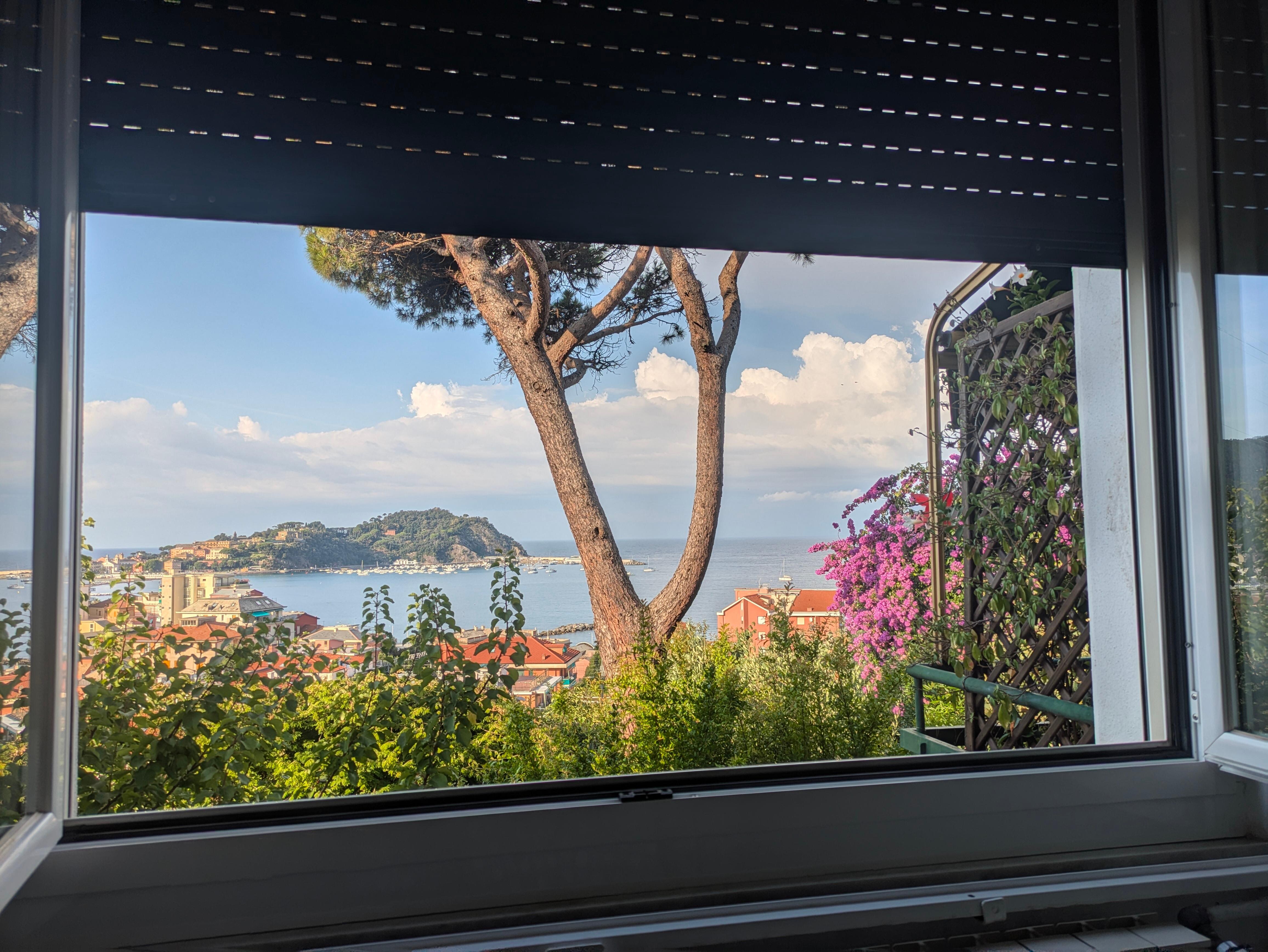 Blick aus dem Wohnzimmer