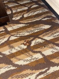 Dog treats (we didn’t bring dogs)