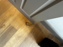 Ahh, the ole' sandpaper doorstop