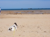 Strand Saint-CÎme-de-Fresné