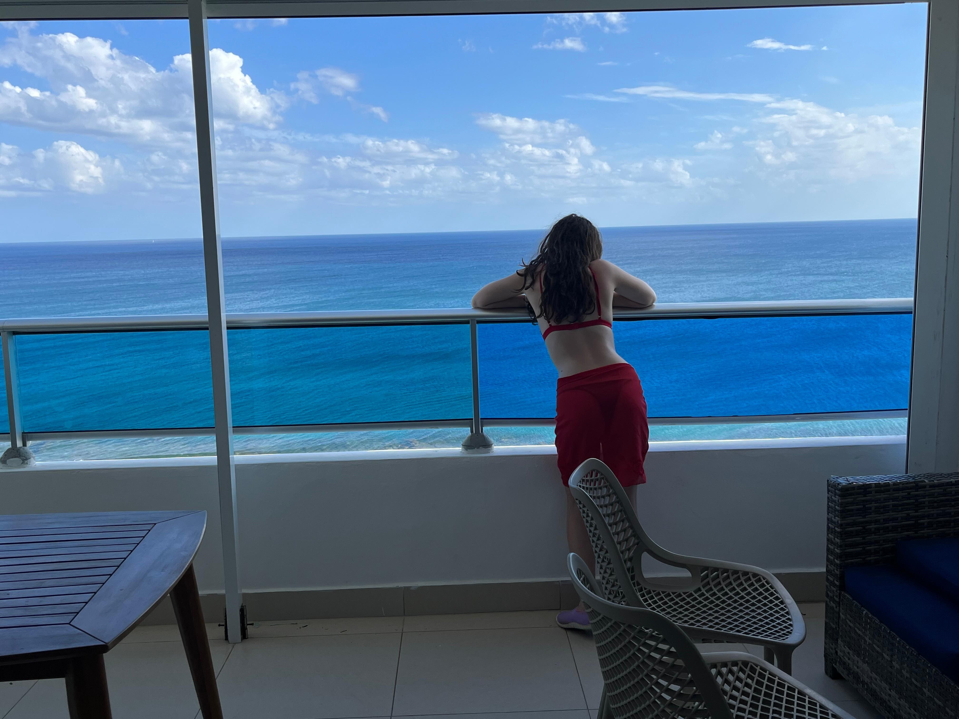 The view