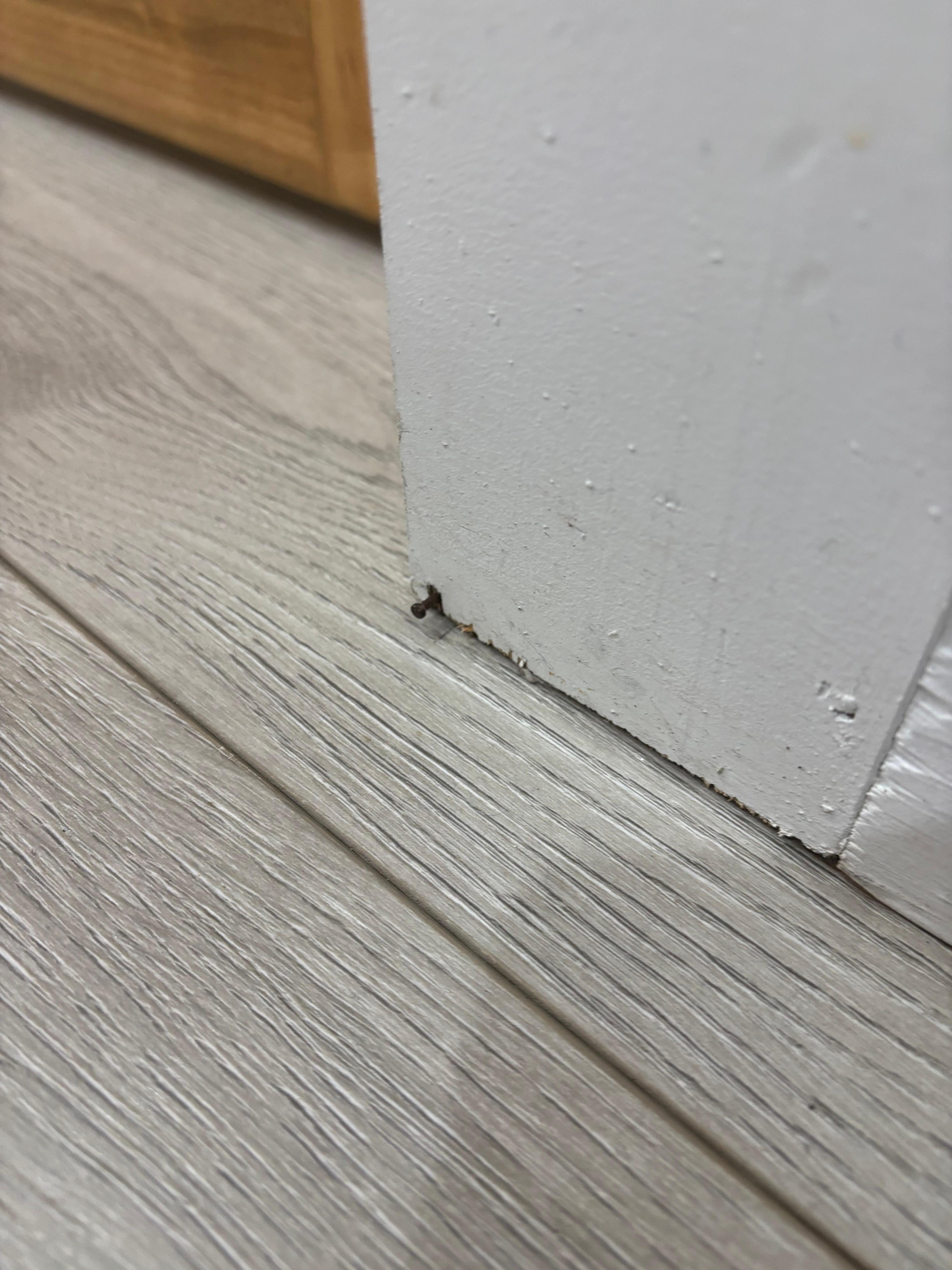 Nail sticking out before entering bathroom. Watch your toes. 