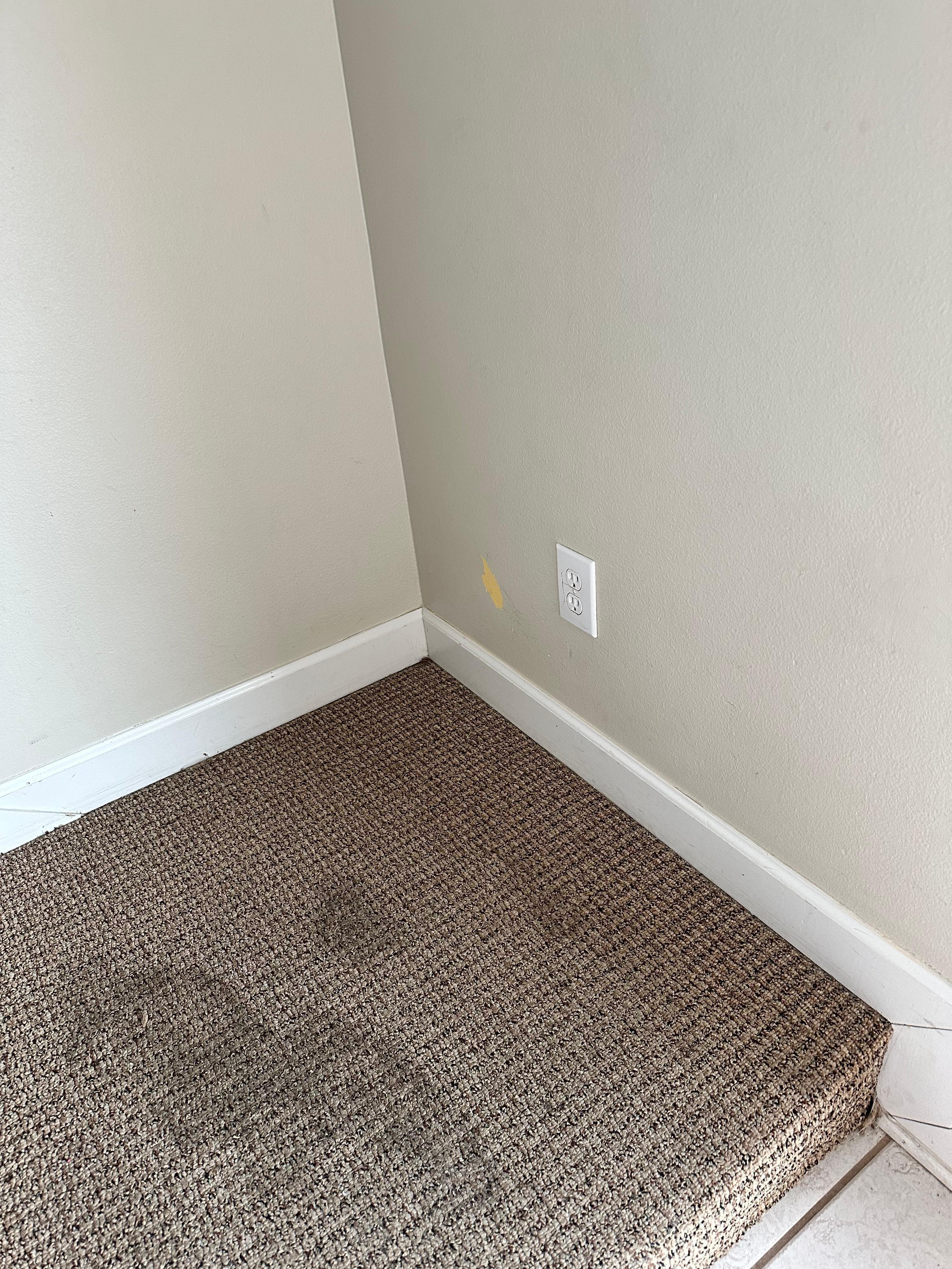 Stained floors