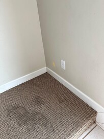 Stained floors