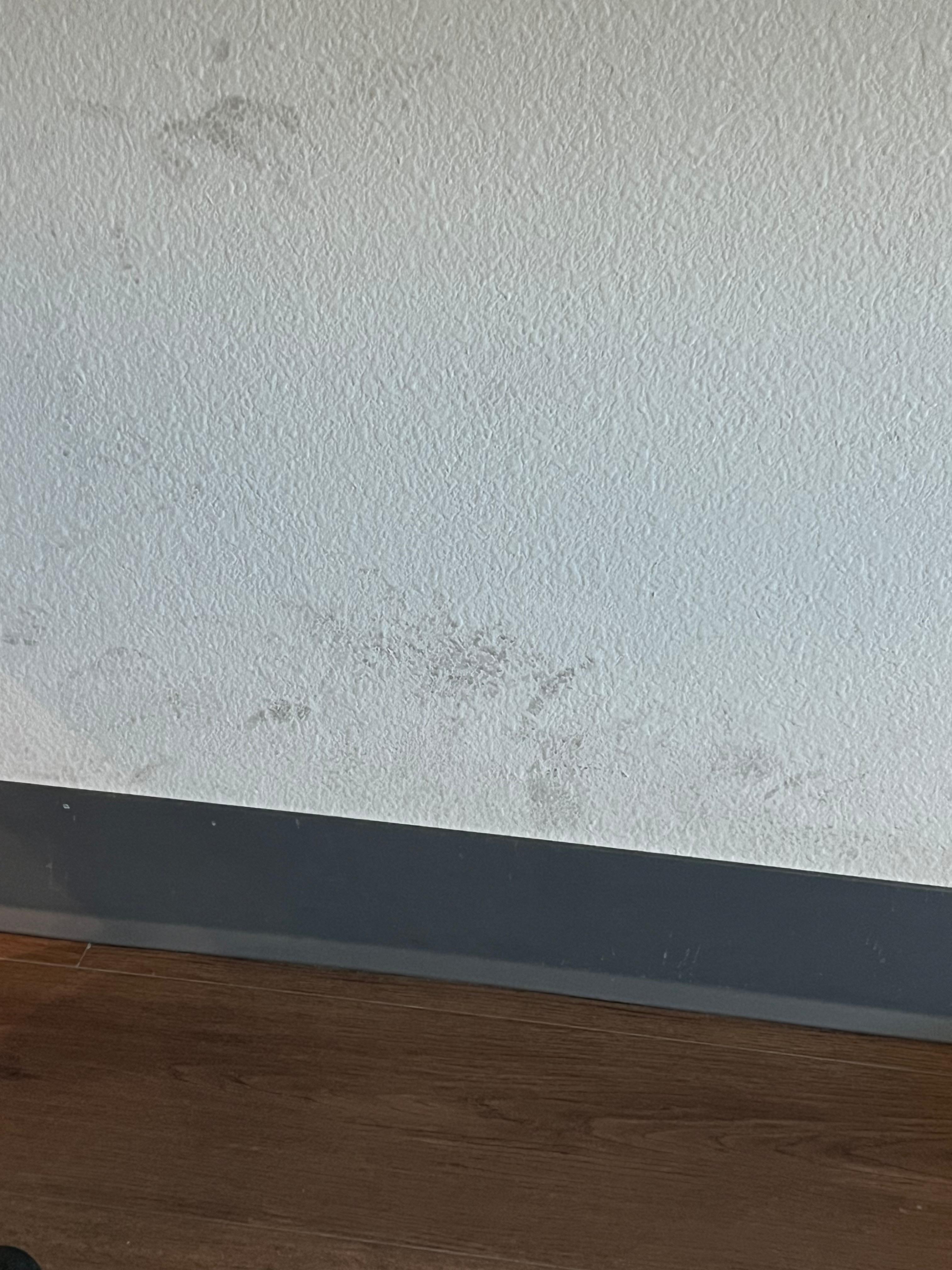 Wall just needed a magic eraser taken to it.