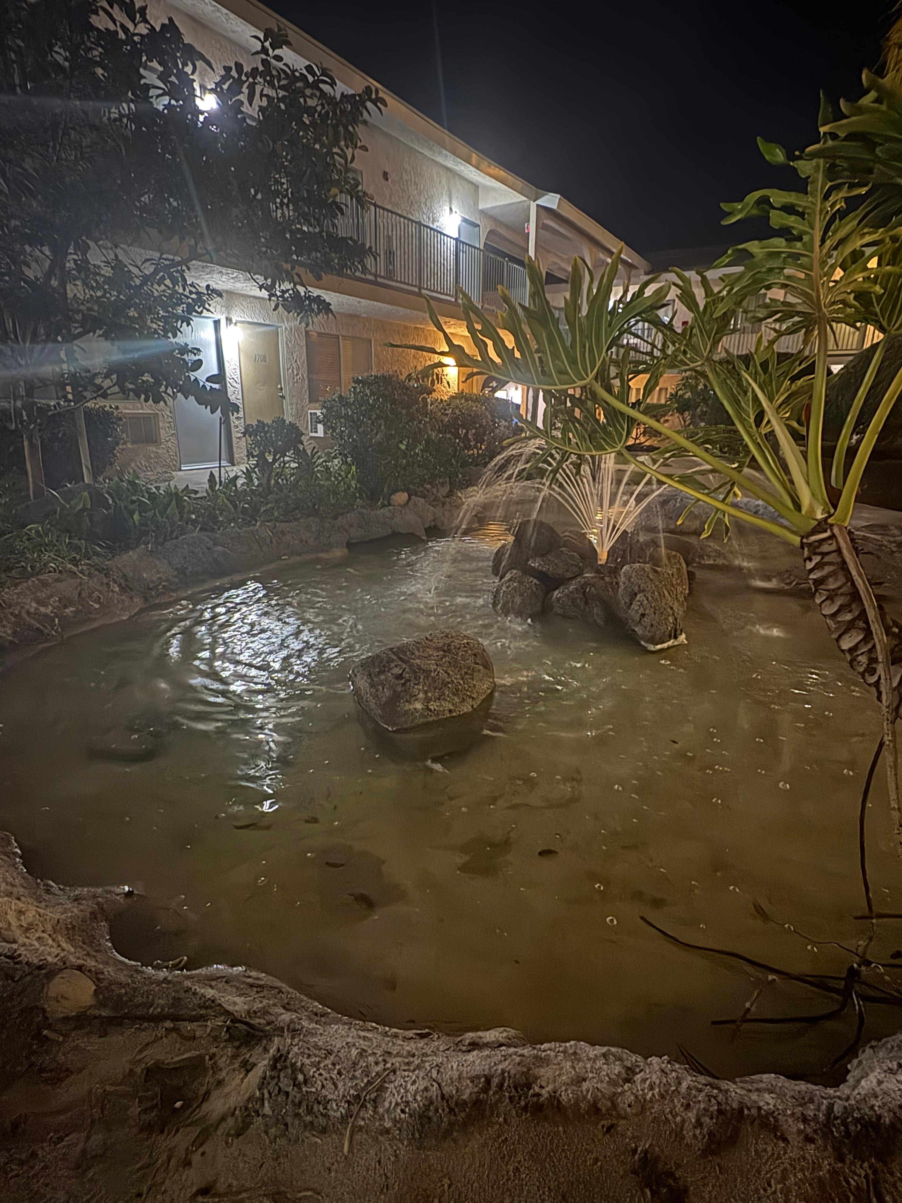 Courtyard with pond