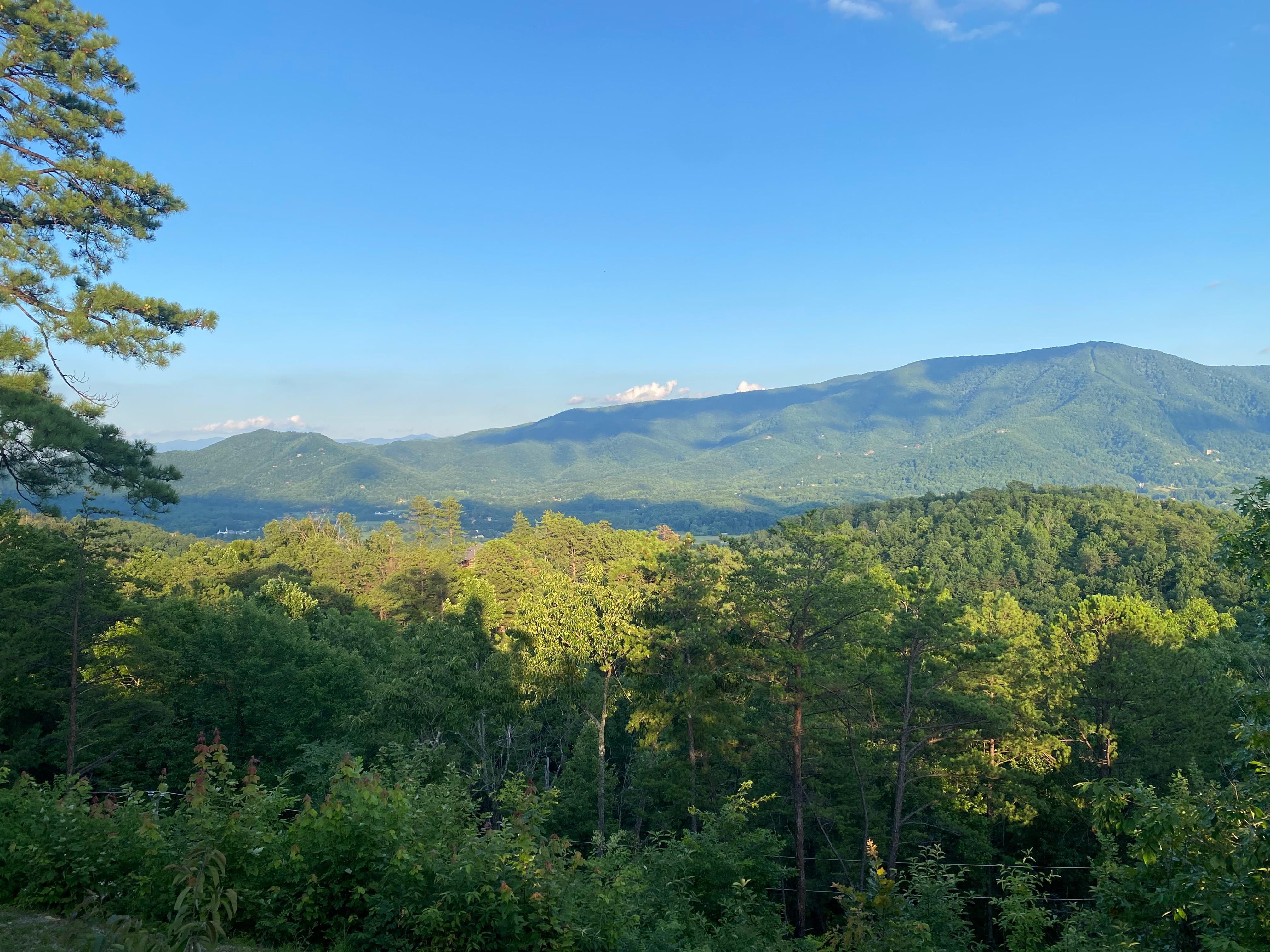 View from front porch.
