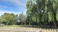 The garden