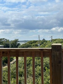 View from back porch