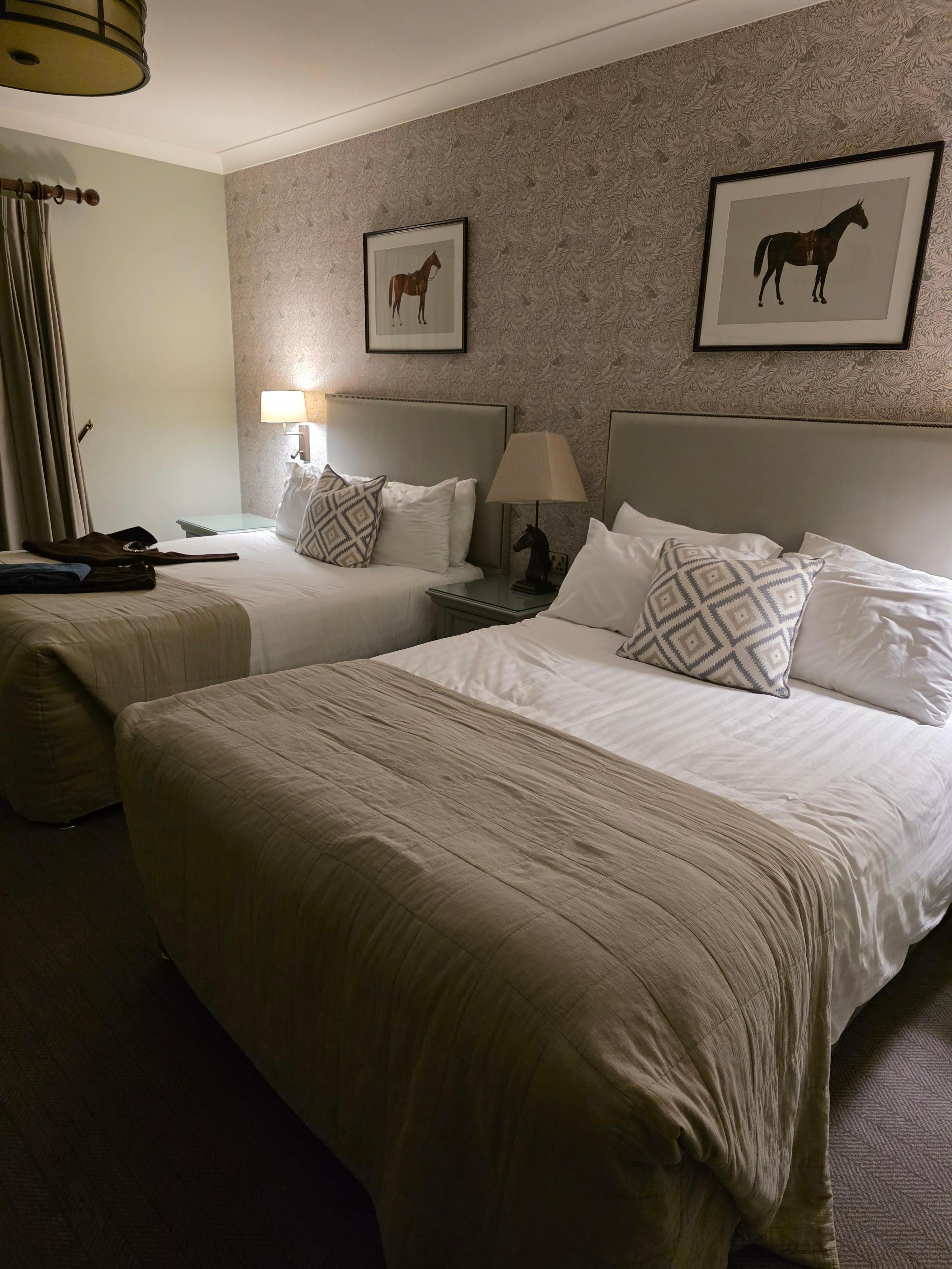 Beautiful room, very clean and comfortable 