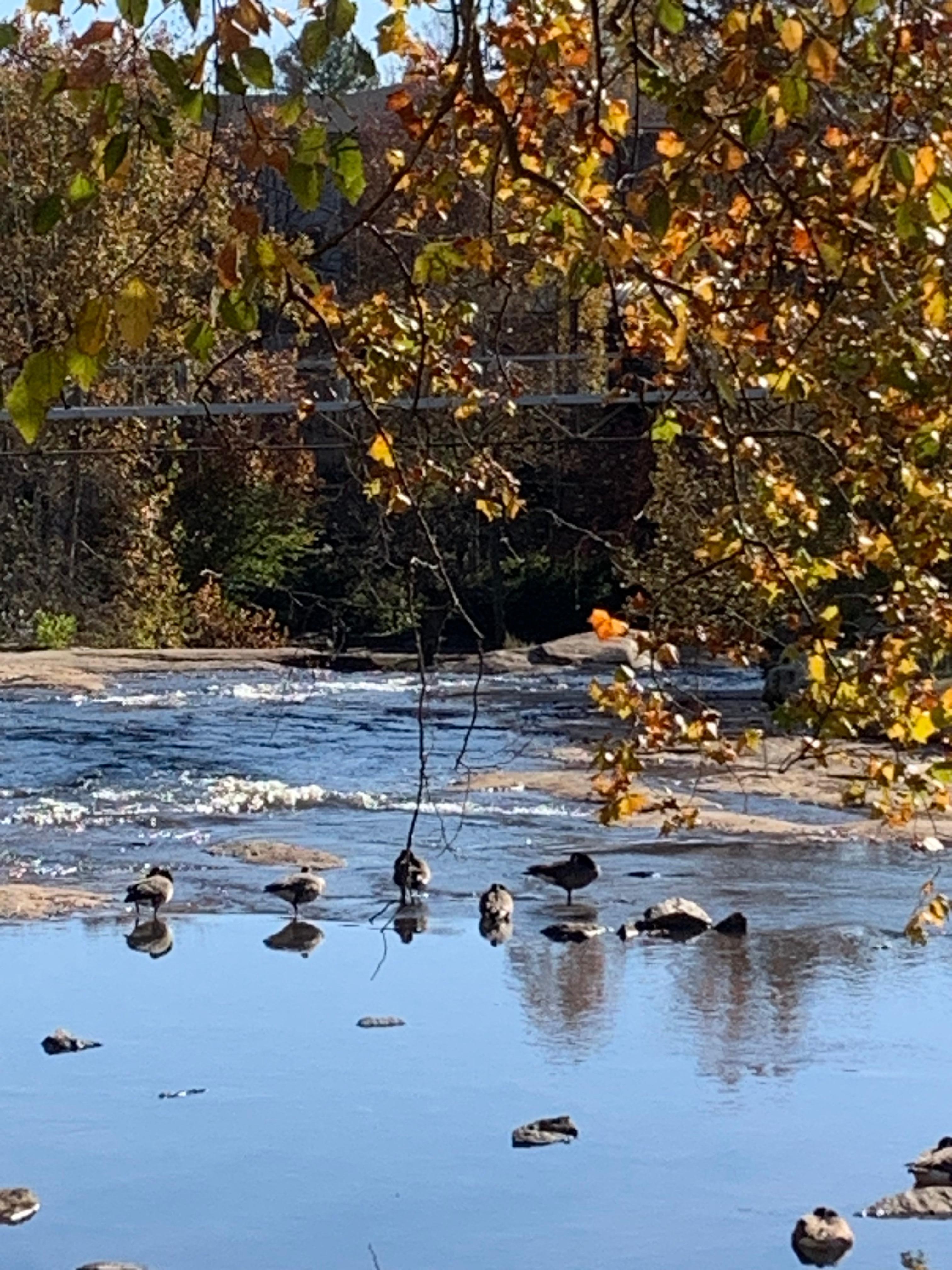 Sights around downtown Greenville. 