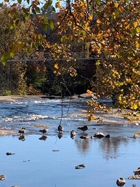 Sights around downtown Greenville.