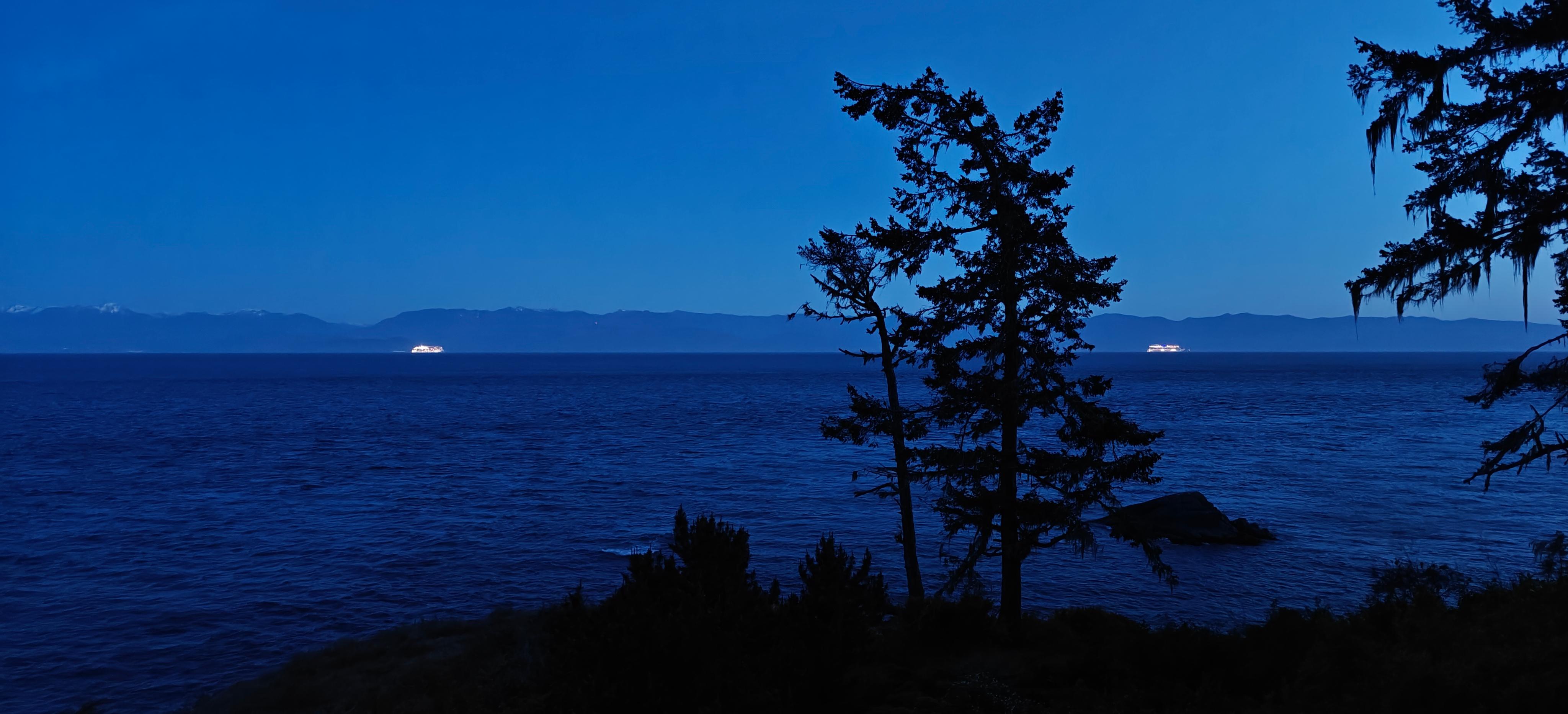 Lots of cruise ships passing