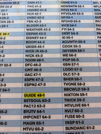 Hair on the TV guide.