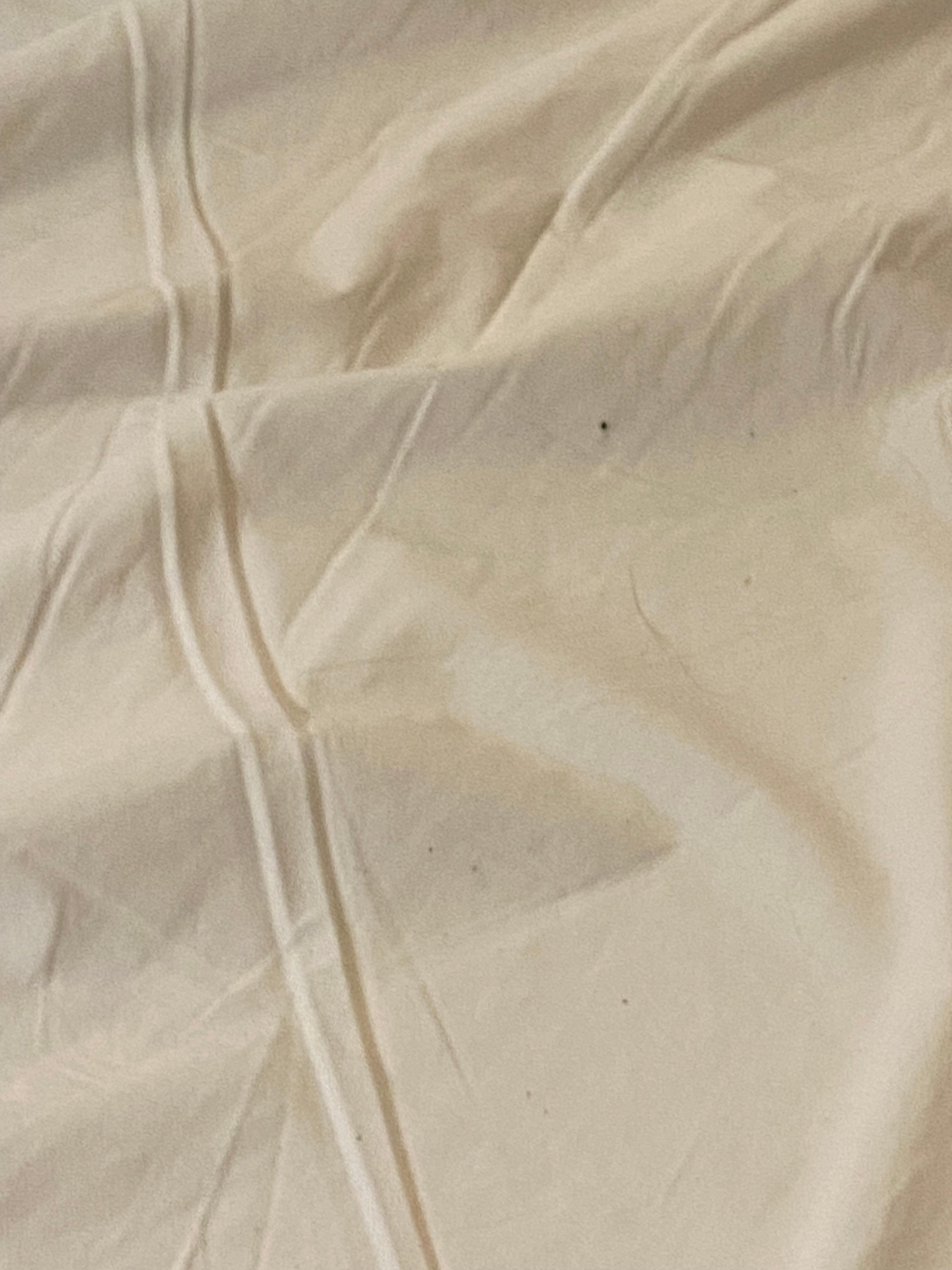 Stain couch sofa bed