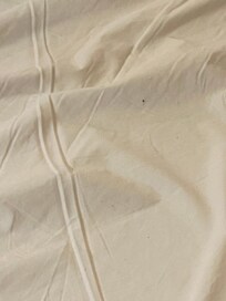 Stain couch sofa bed