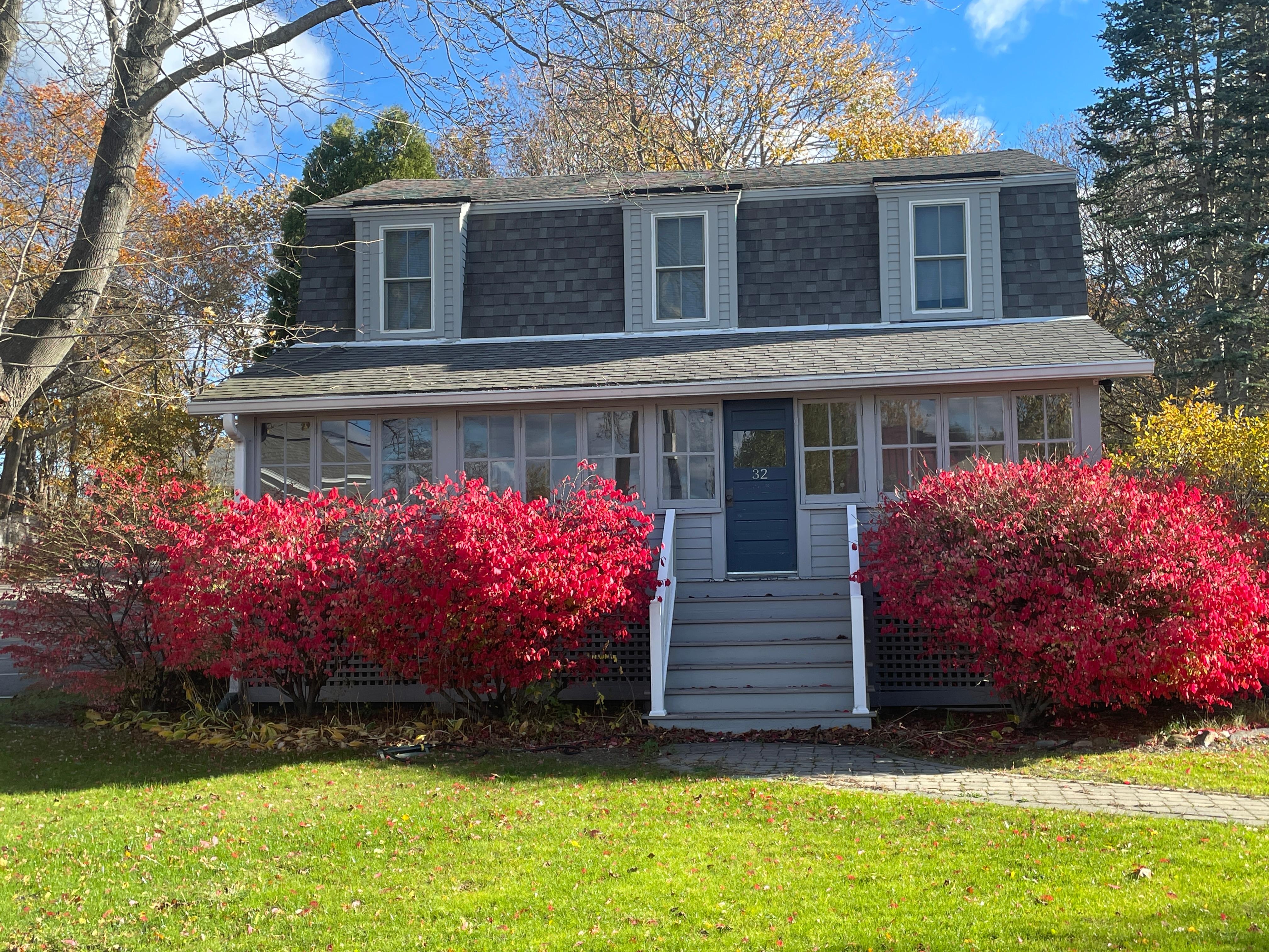 Beautiful burning bush in front of house