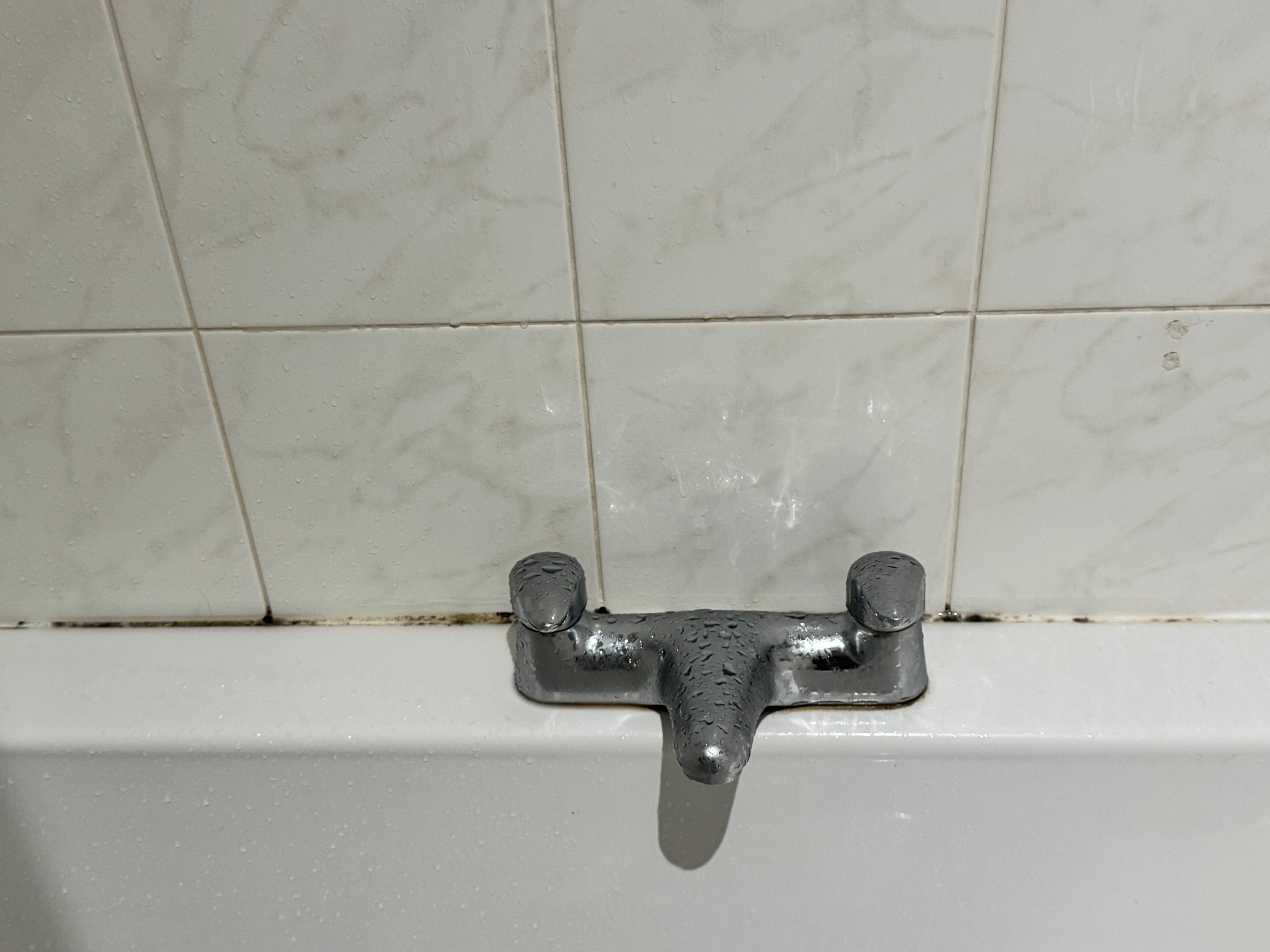 Mold in shower
