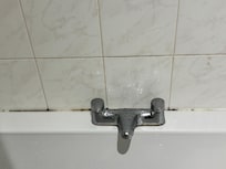 Mold in shower