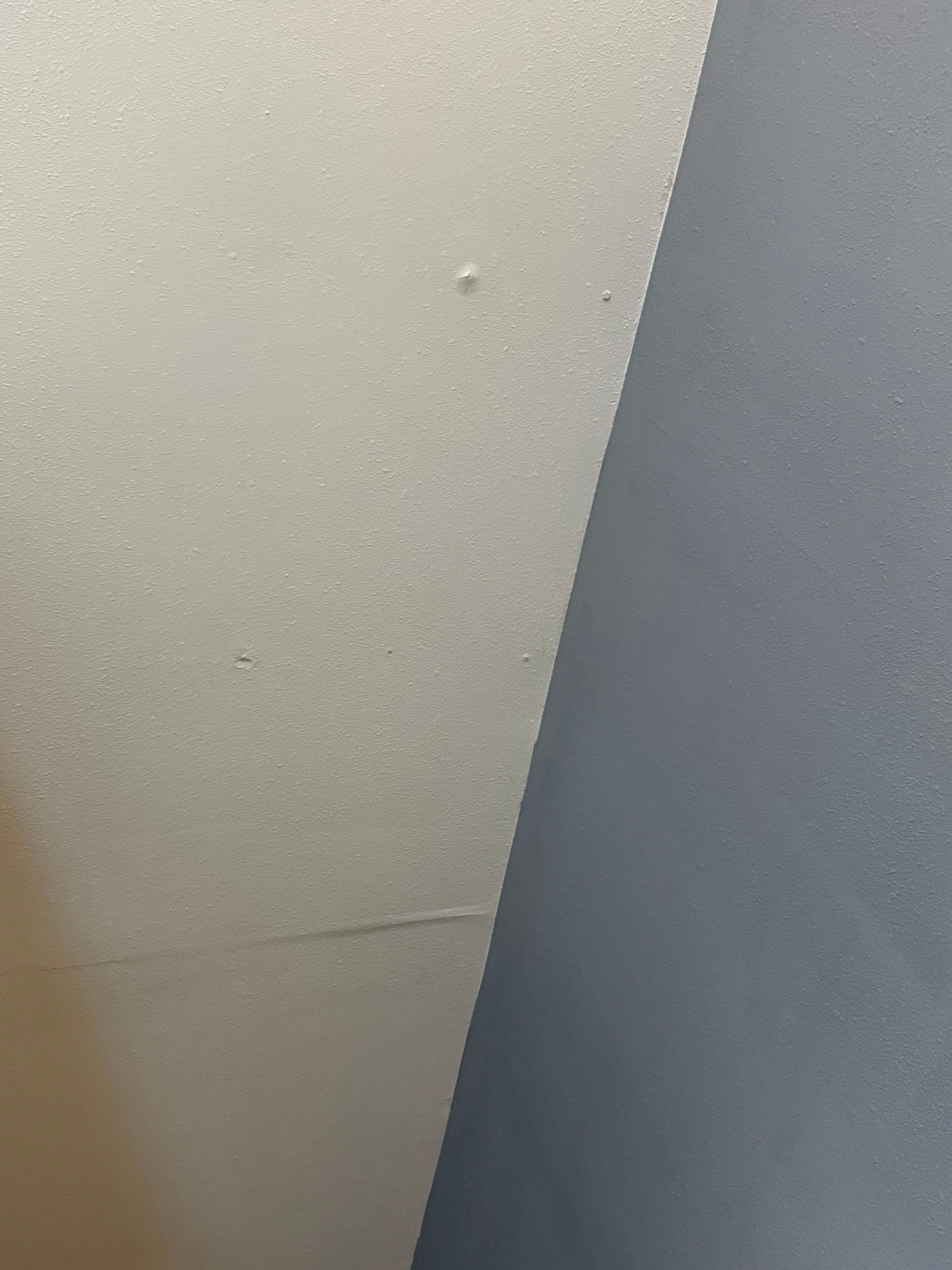 Ceiling repairs needed. Possible leak in ceiling. 