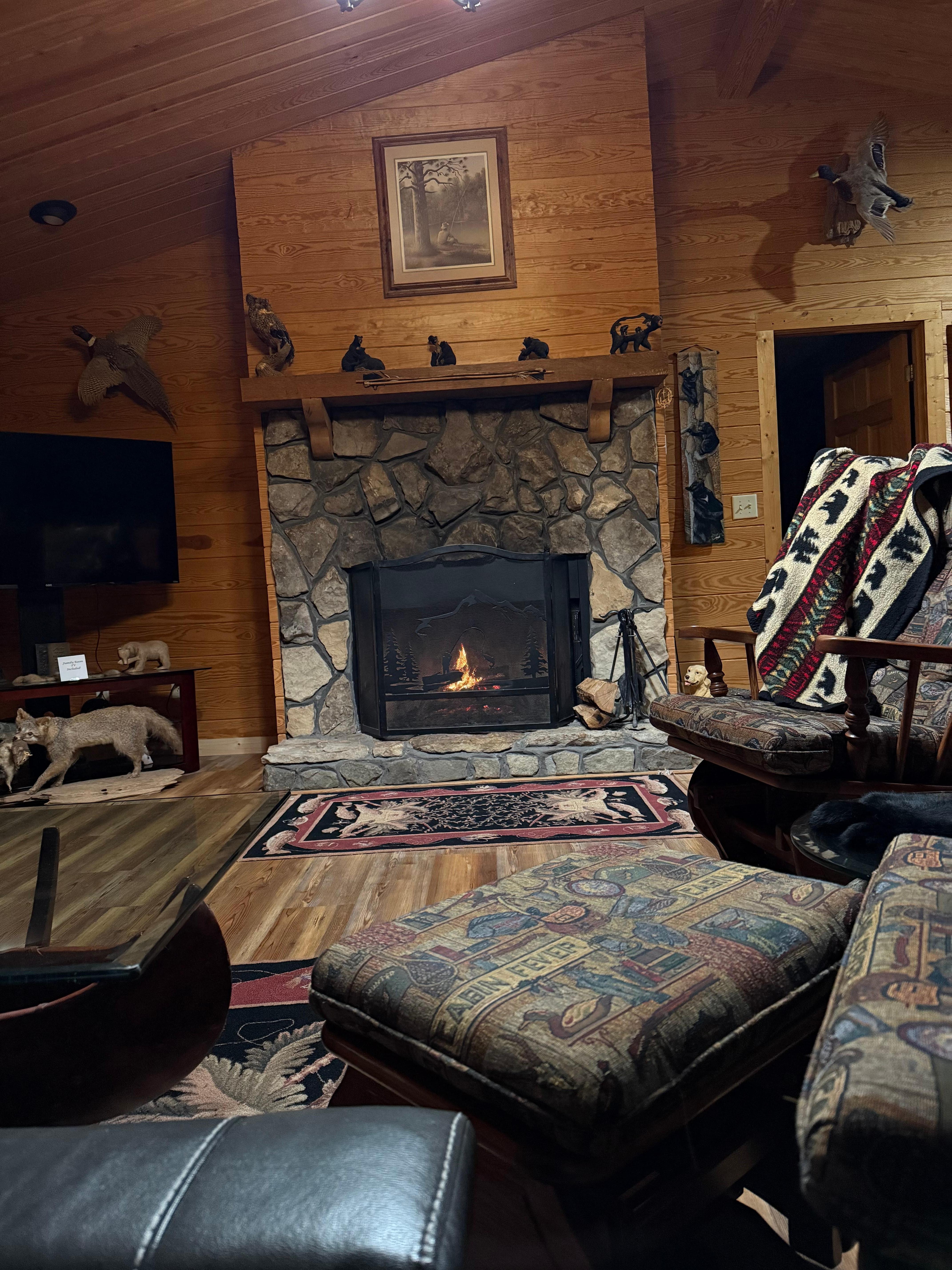 Small fire in the fireplace for a cool night