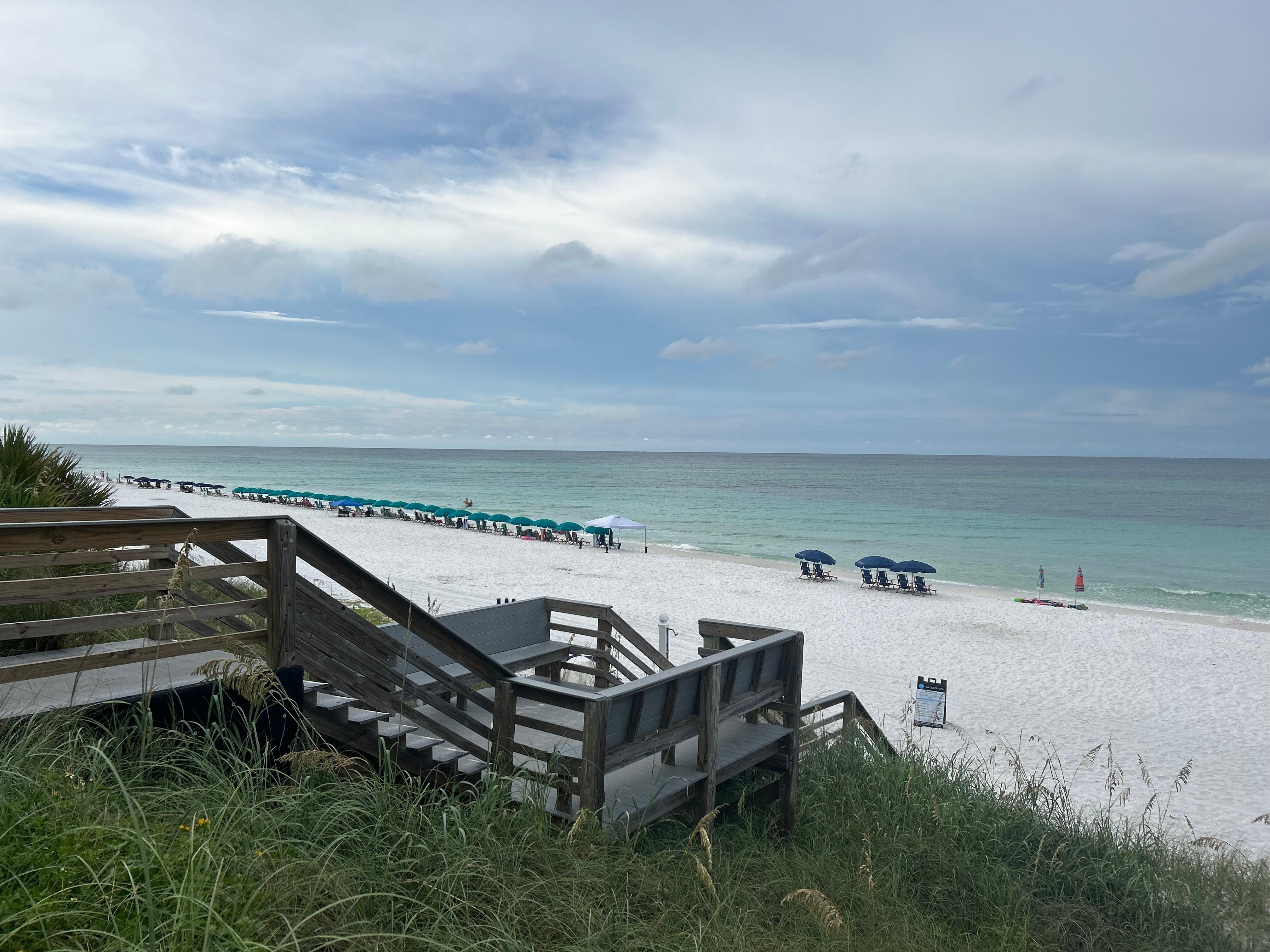 View from the back patio. 