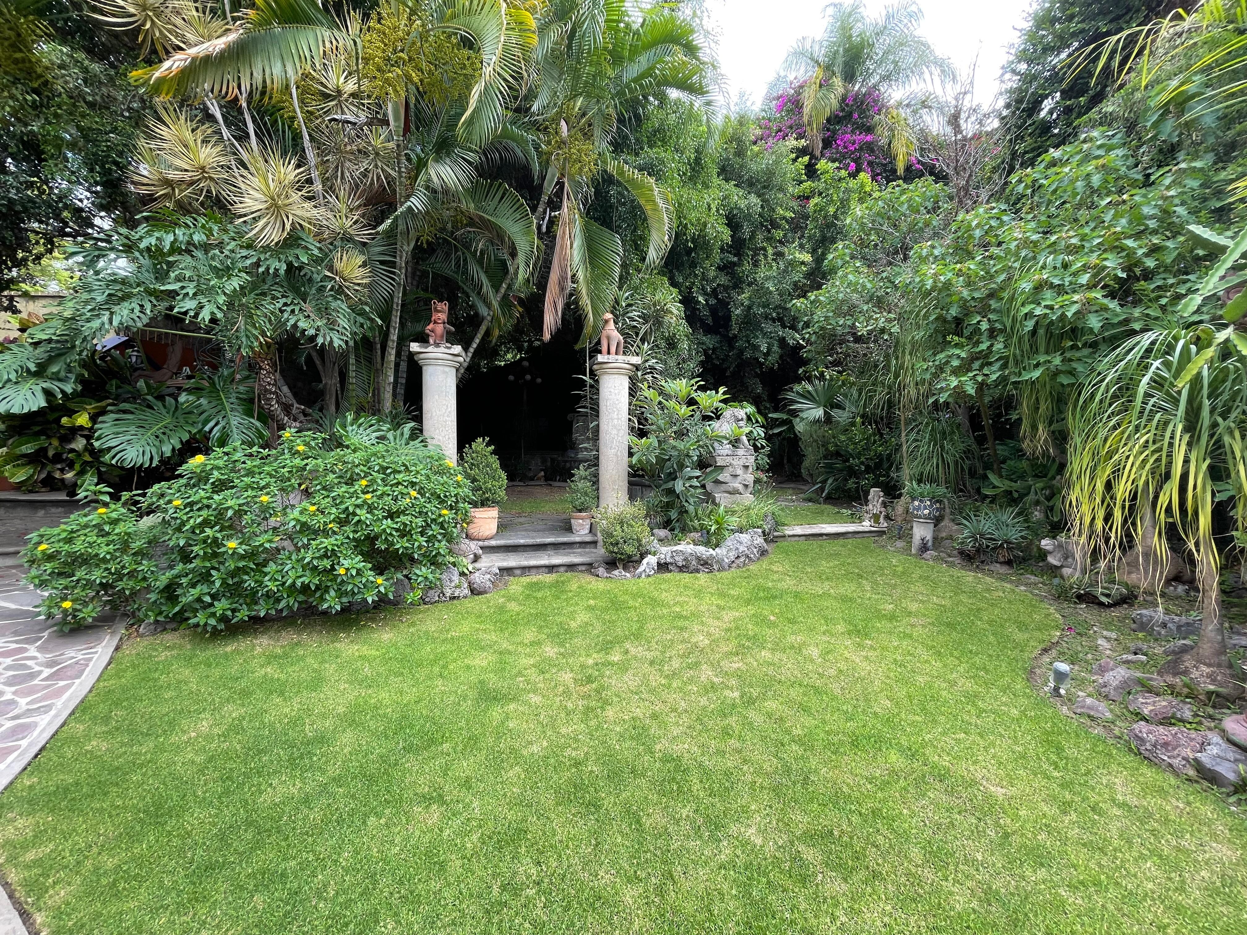 Lovely garden