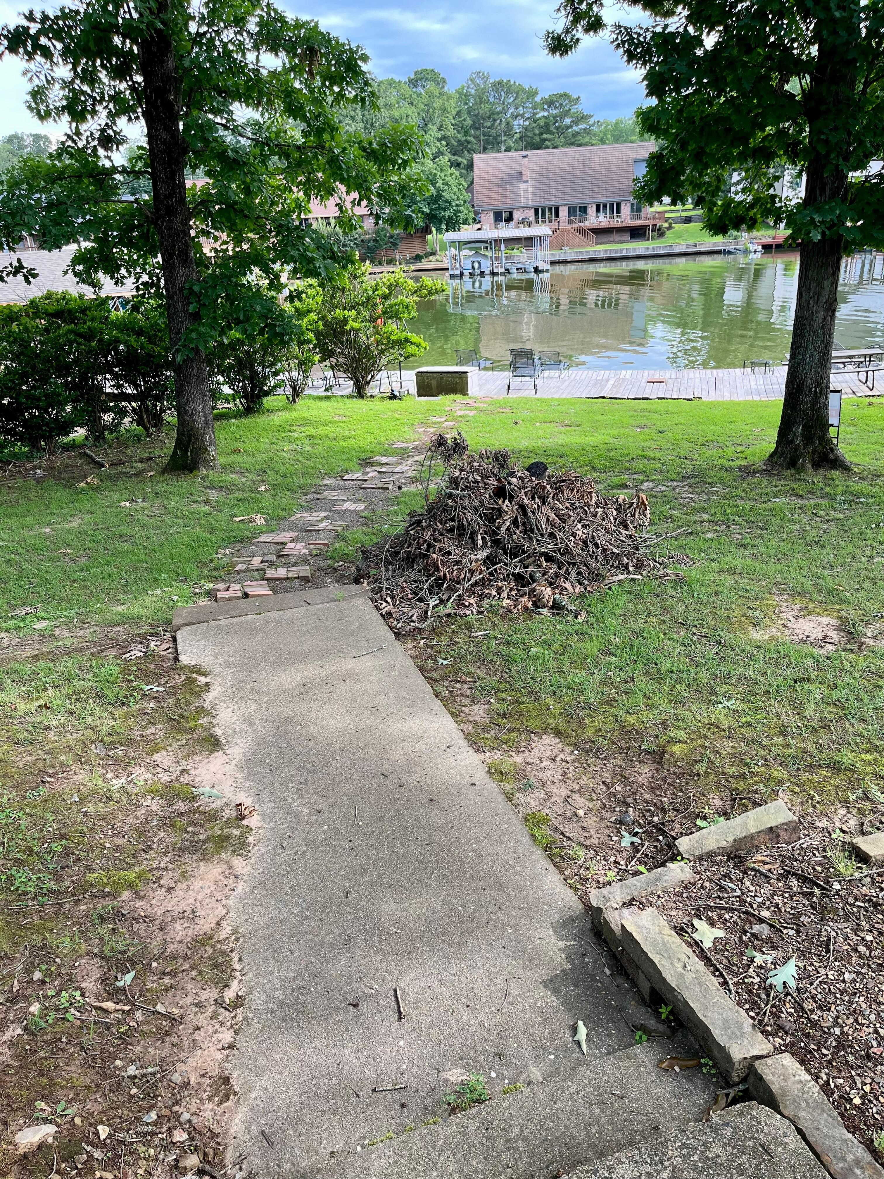 Large pile of dead branches near the walkway to the lake.