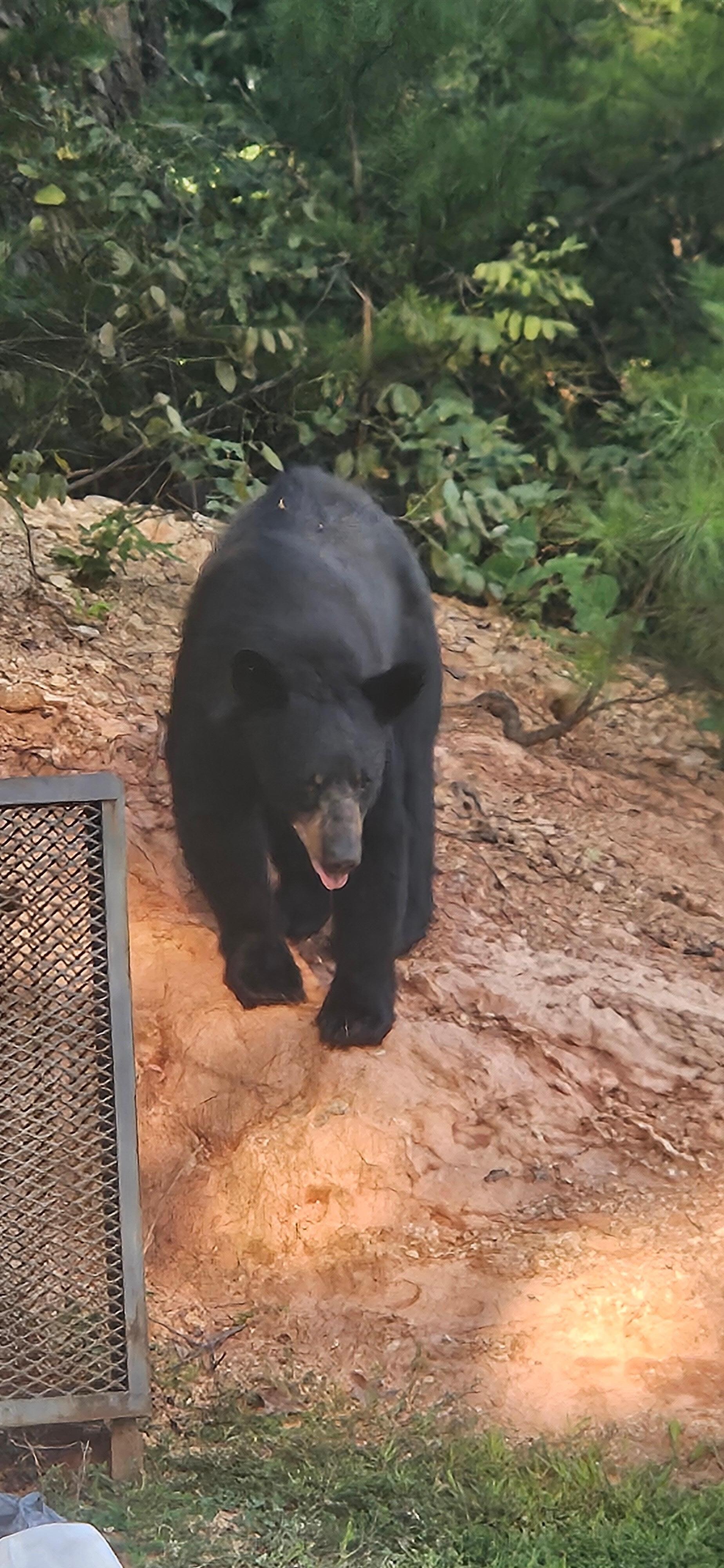 He entertained us for like a hour 