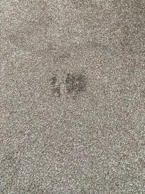 Carpet