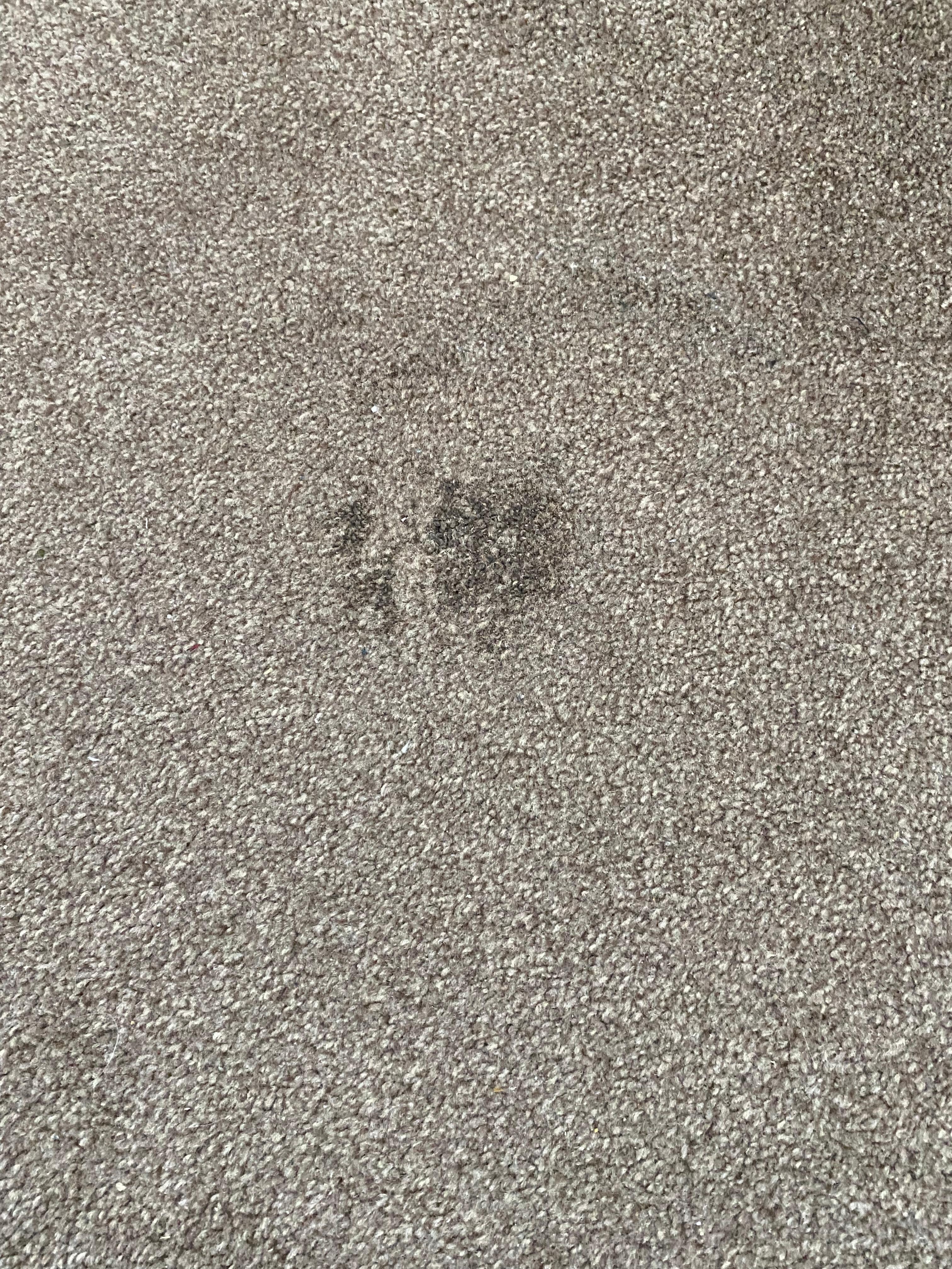 Carpet
