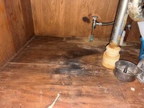 Black mold under sink in garage apartment