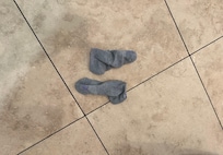 Socks were in bed