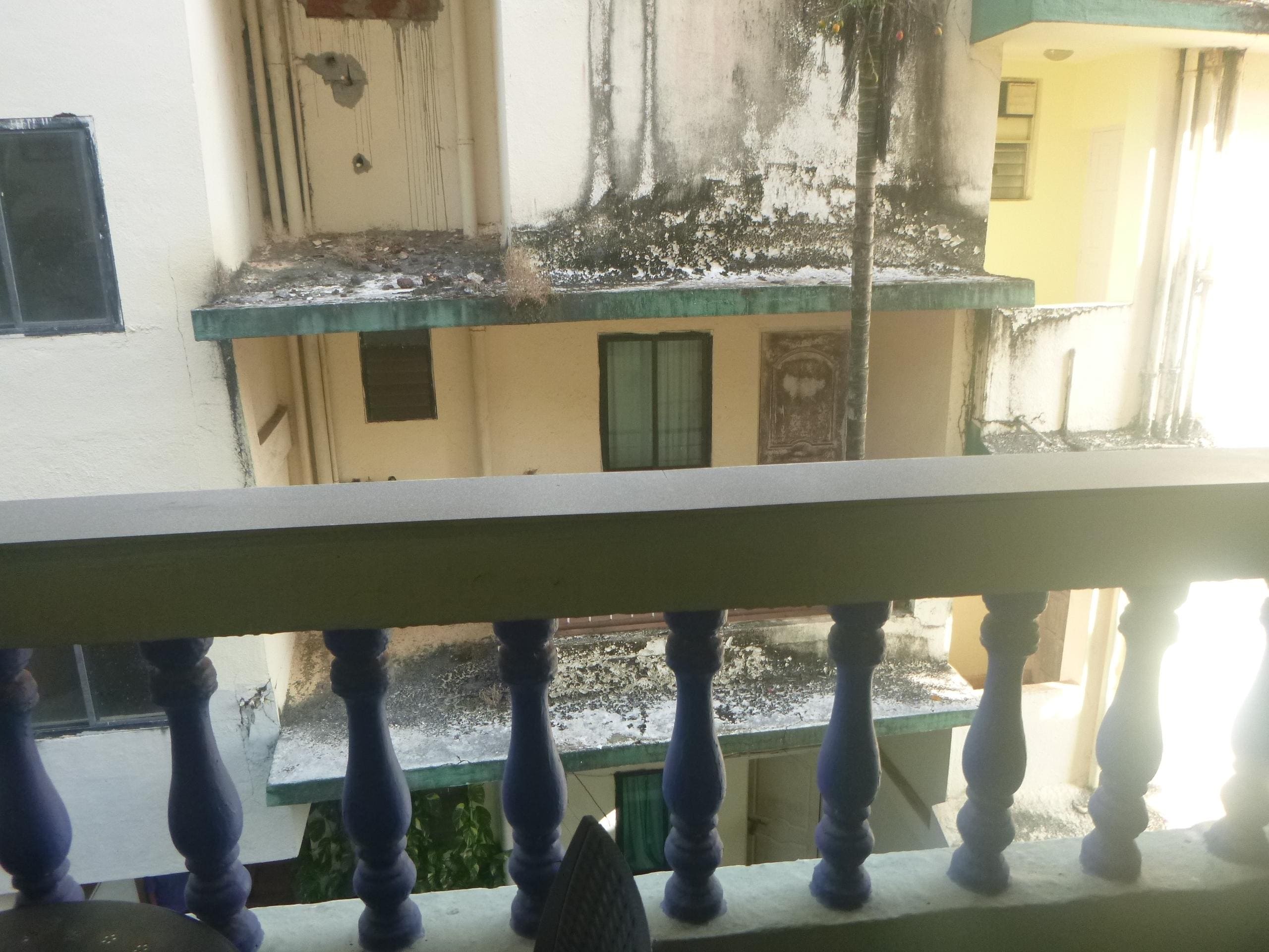 The view from my window of an adjacent derelict block.