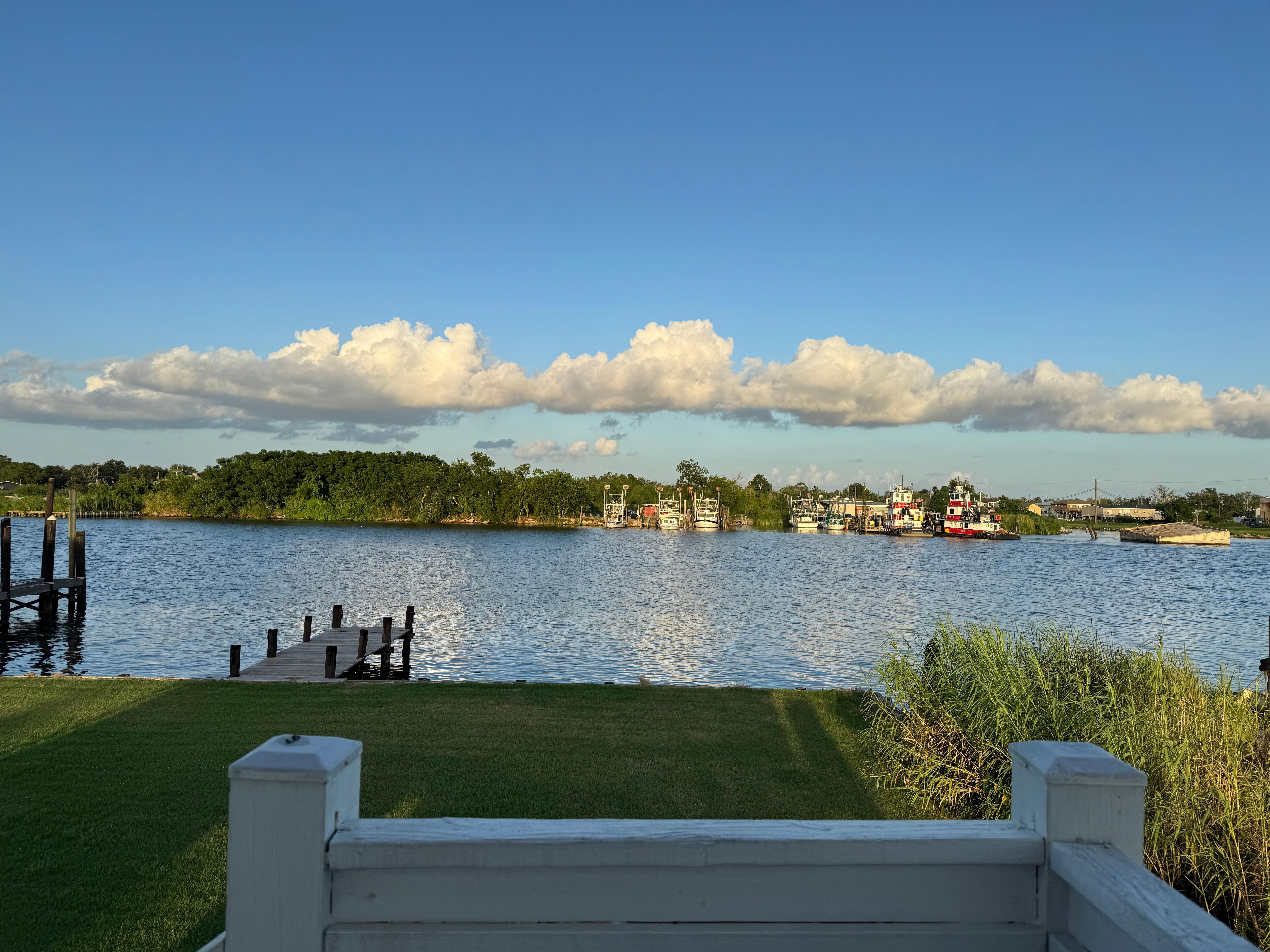 View out the back door