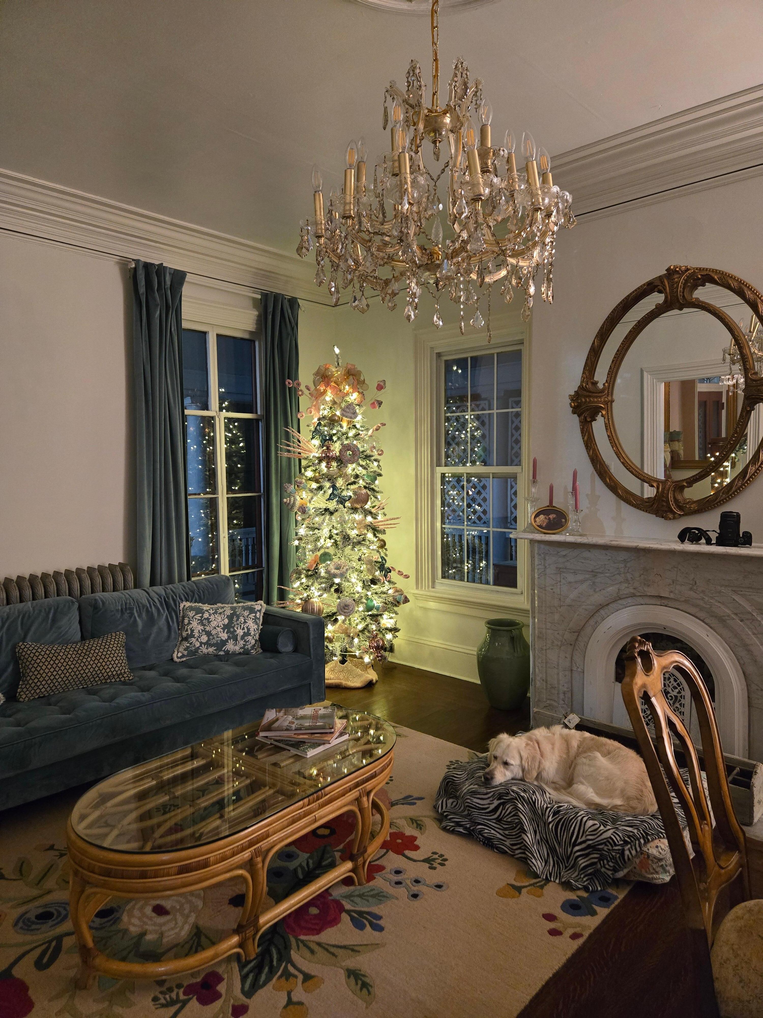 Hazel the dog fit right in!