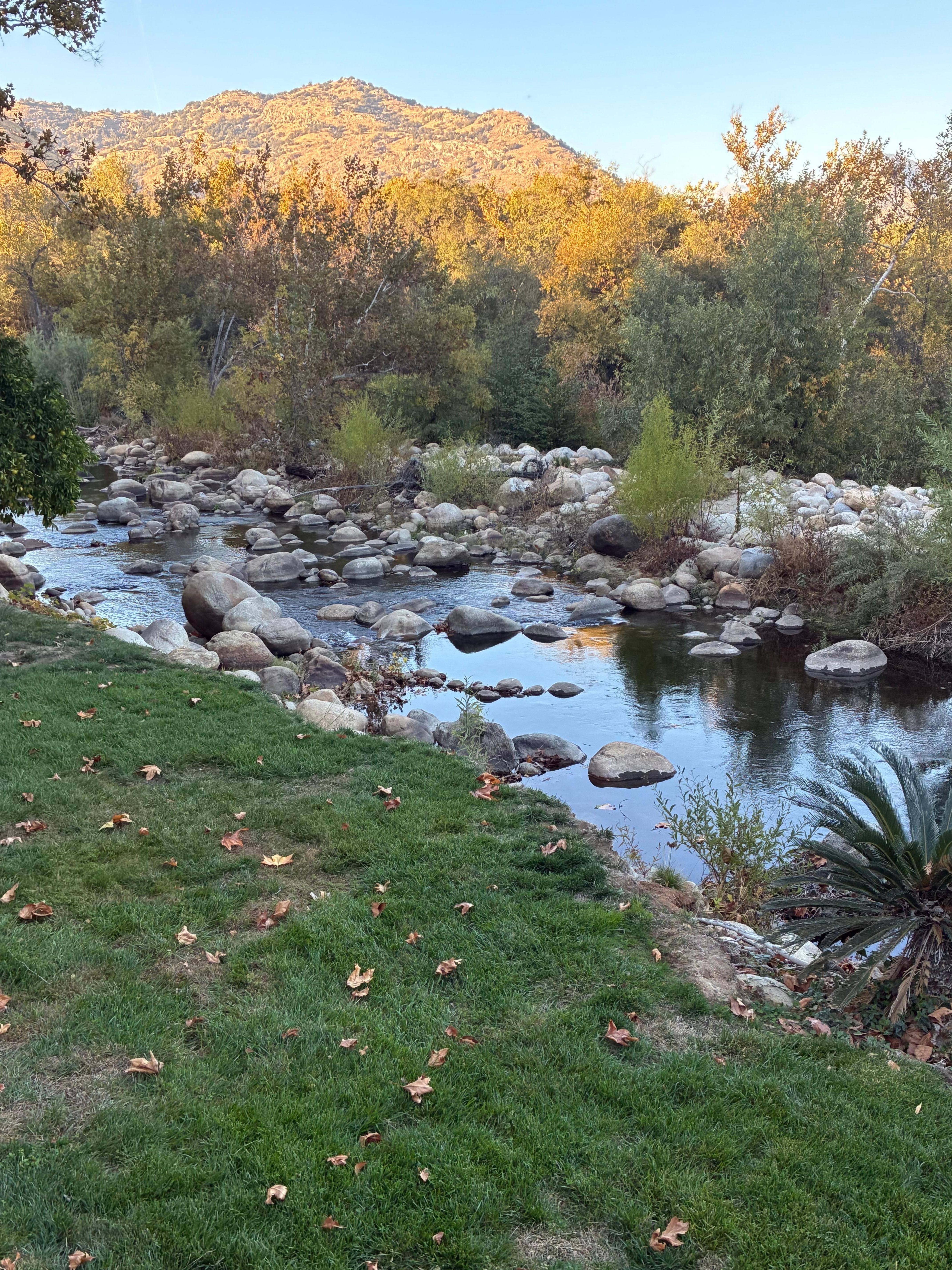 Perfect view from the patio
