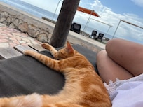 Georgia will serve you a spectacular breakfast