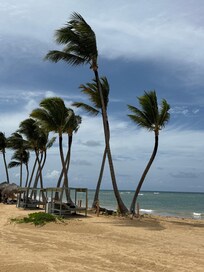 Ocean view