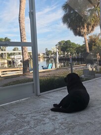 We love that we were able to include ALL of our family in our vacation.