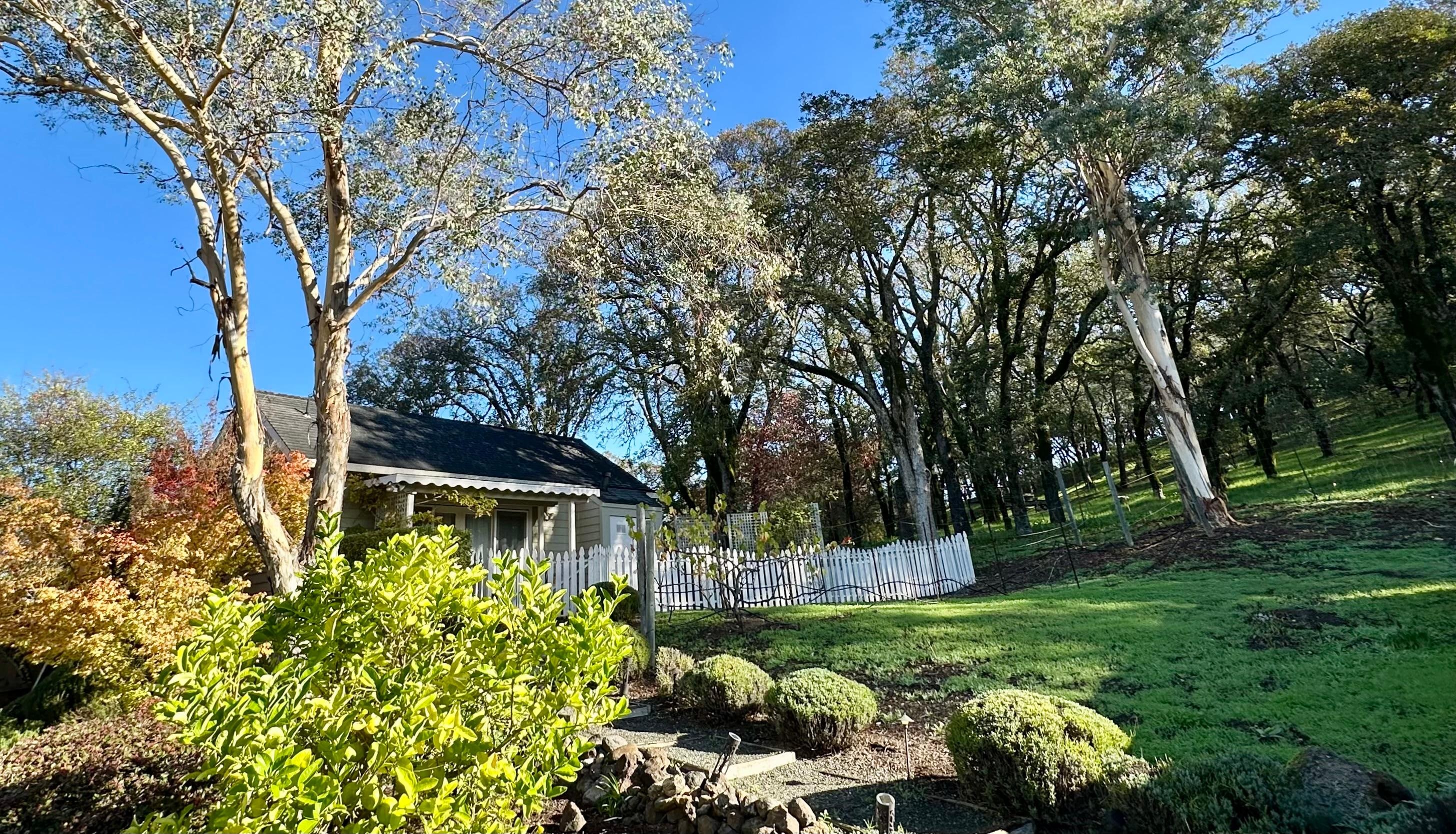 View of the cottage when you walk up the path. 